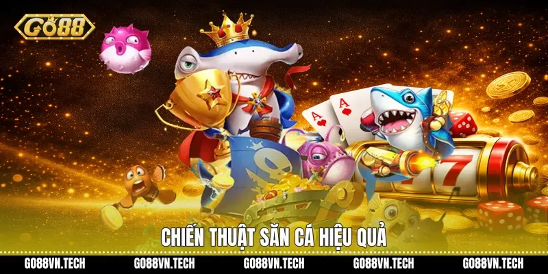 Chiến thuật săn cá hiệu quả